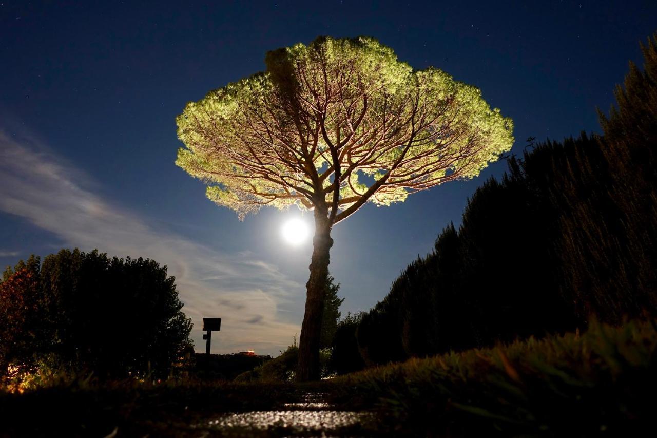 Agriturismo Buon Riposo - Country Resort In The Heart Of Tuscany San Giovanni a Corazzano Dış mekan fotoğraf